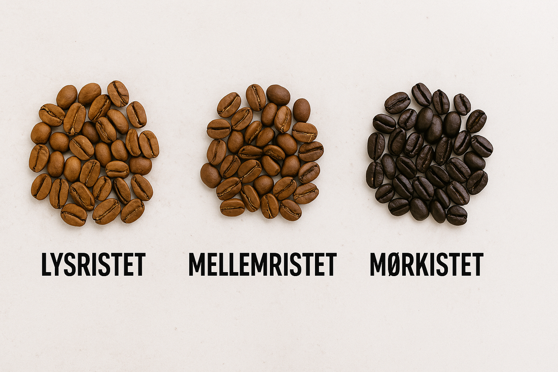 🌱 Hvad er forskellen på lys, mellem og mørkristet kaffe?